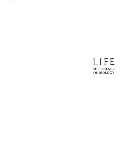 Cover image for Life