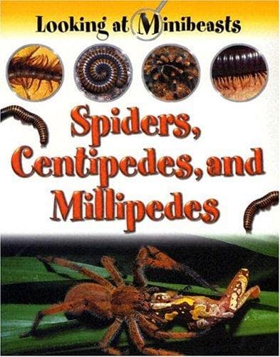Cover image for Spiders, Centipedes, and Millipedes (Looking at Minibeasts)