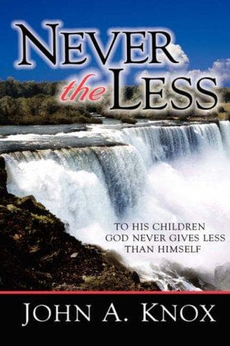 Cover image for Never the Less