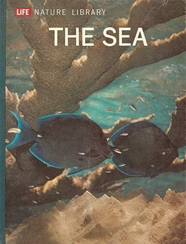 Cover image for The sea