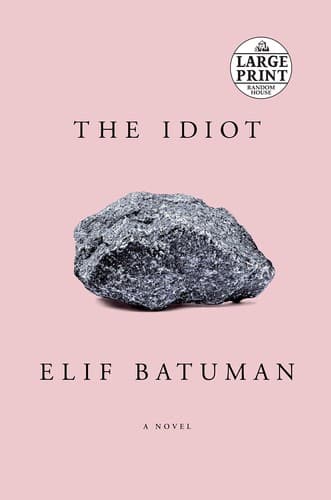Cover image for The idiot