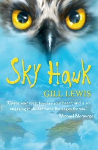 Cover image for Sky Hawk