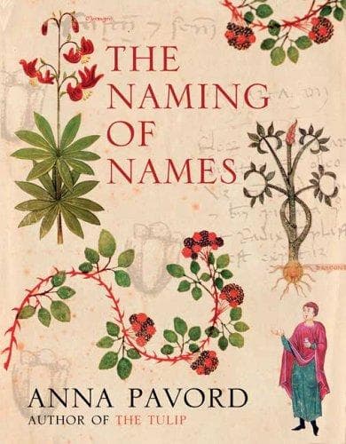 Cover image for The Naming of Names