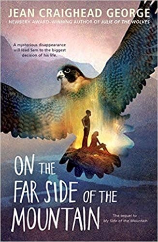 Cover image for On the far side of the mountain
