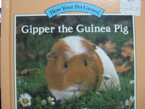 Cover image for Gipper the guinea pig