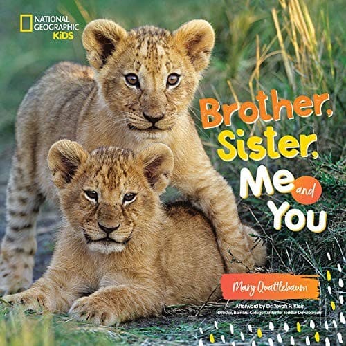 Cover image for Brother, Sister, Me and You