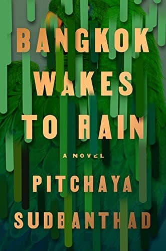 Cover image for Bangkok Wakes to Rain