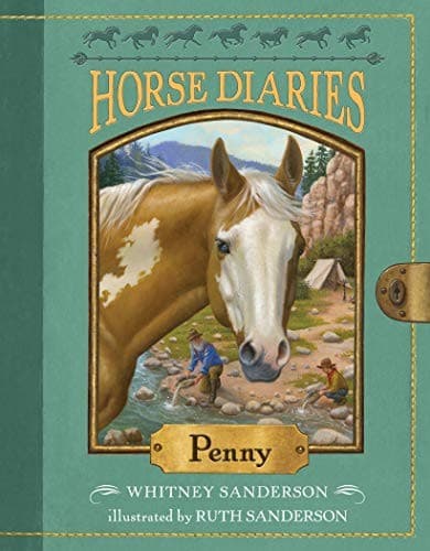 Cover image for Horse Diaries #16
