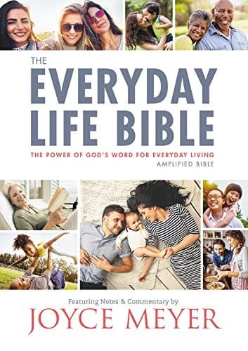 Cover image for The Everyday Life Bible