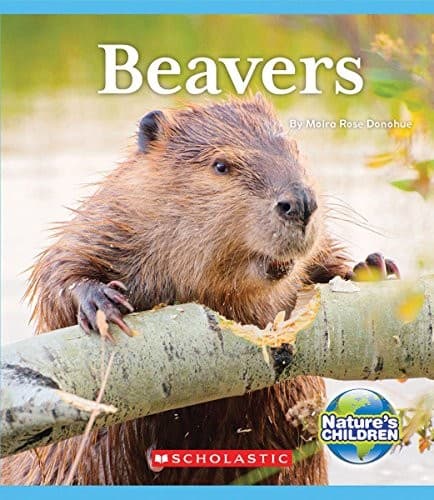 Cover image for Beavers