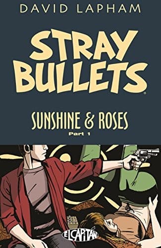 Cover image for Stray Bullets