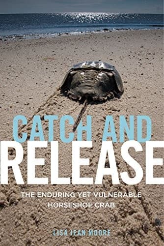 Cover image for Catch and Release