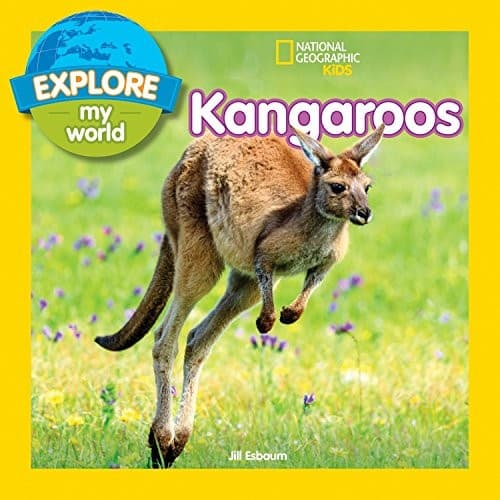 Cover image for Explore My World