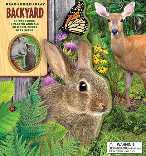 Cover image for Read Build Play