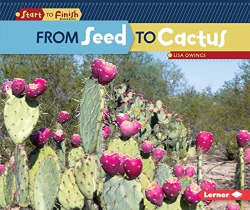 Cover image for From Seed to Cactus