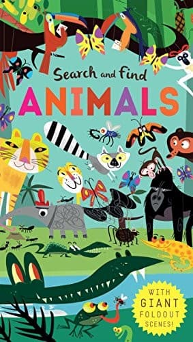 Cover image for Search and Find