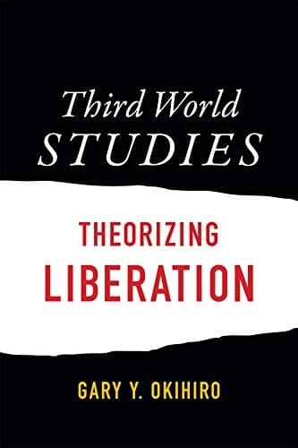Cover image for Third World Studies