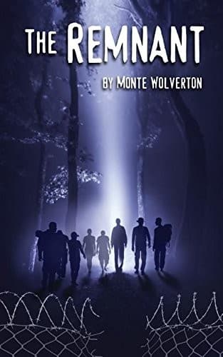 Cover image for The Remnant