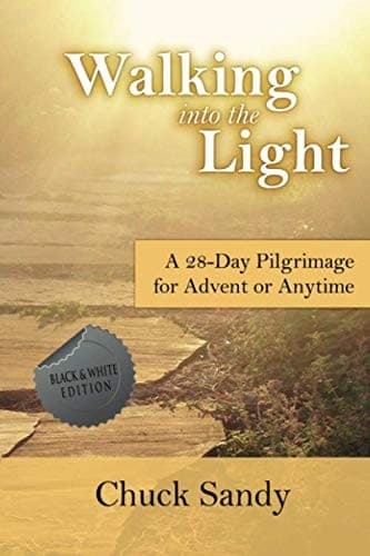 Cover image for Walking into the Light