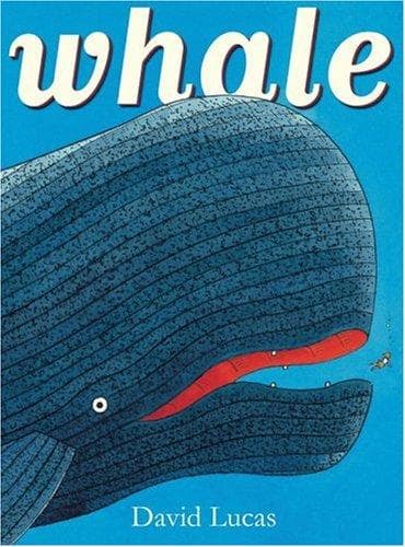 Cover image for Whale