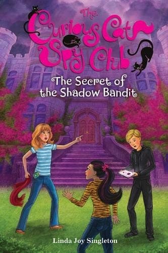 Cover image for The Secret of the Shadow Bandit