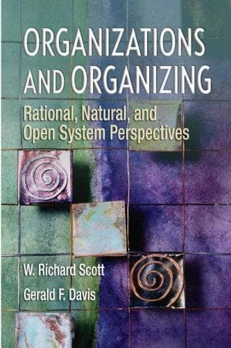 Cover image for Organizations and Organizing