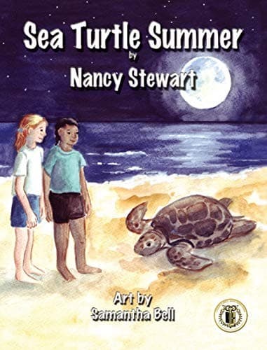 Cover image for Sea Turtle Summer