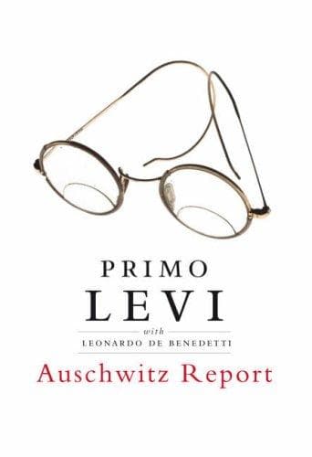Cover image for Auschwitz Report