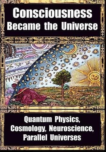Cover image for How Consciousness Became the Universe