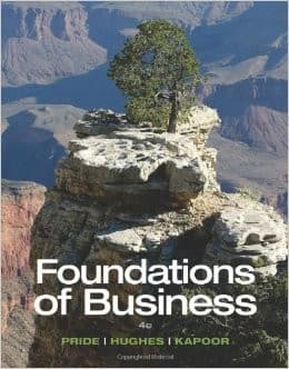 Cover image for Foundations of Business, Loose-Leaf Version