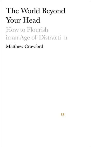 Cover image for The World Beyond Your Head