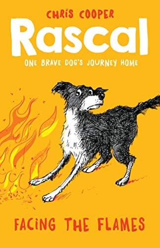 Cover image for Rascal