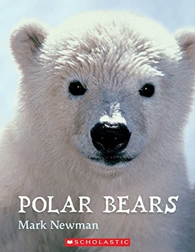 Cover image for Polar Bears
