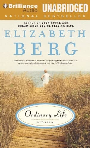 Cover image for Ordinary Life