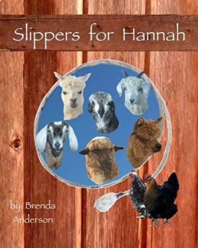 Cover image for Slippers For Hannah