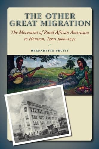 Cover image for The Other Great Migration