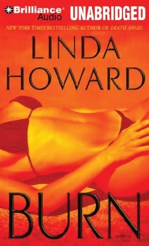 Cover image for Burn
