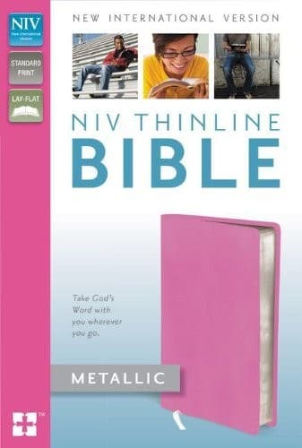 Cover image for NIV Thinline Bible Metallic