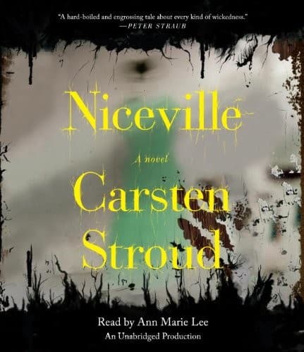 Cover image for Niceville