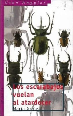 Cover image for Los escarabajos vuelan al atardecer