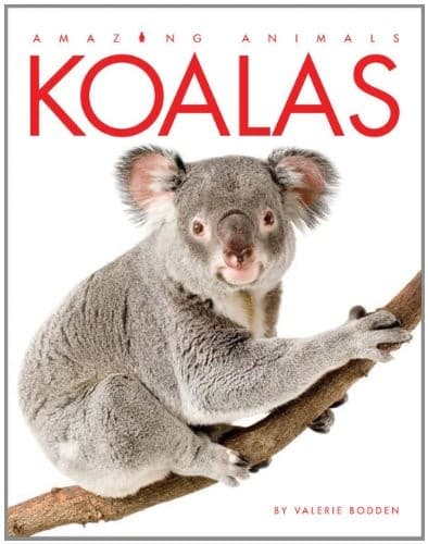 Cover image for Amazing Animals