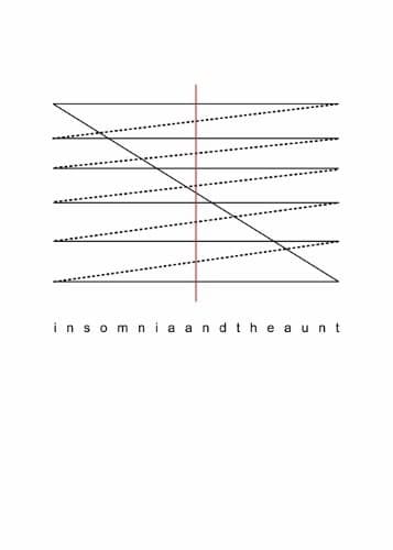 Cover image for Insomnia and the Aunt