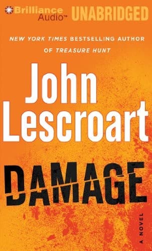 Cover image for Damage