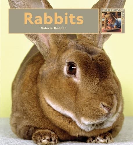 Cover image for My First Look At