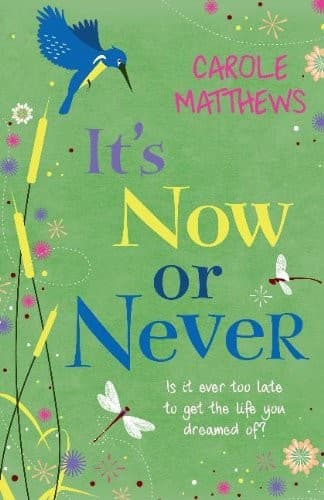 Cover image for It's Now or Never