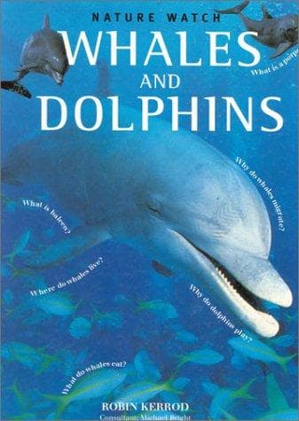 Cover image for Whales and Dolphins (Nature Watch Series)
