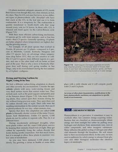 Cover image for Cell Biology & Genetics