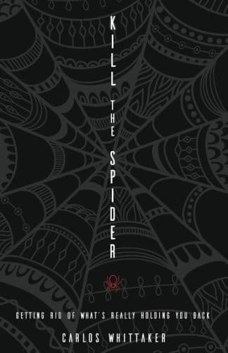 Kill the Spider