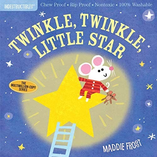 Cover image for Indestructibles