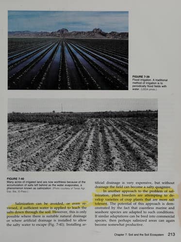 Cover image for Environmental science